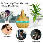 300ml Wood Aroma Humidifier