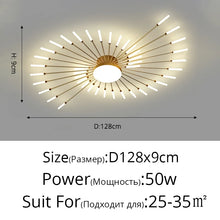 Firework LED Ceiling Chandelier