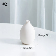 Handcrafted Ceramic Hydroponic Vase