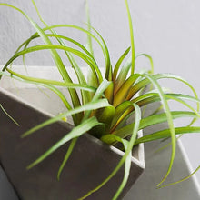 Wall-Mounted Ikebana Stem Vase