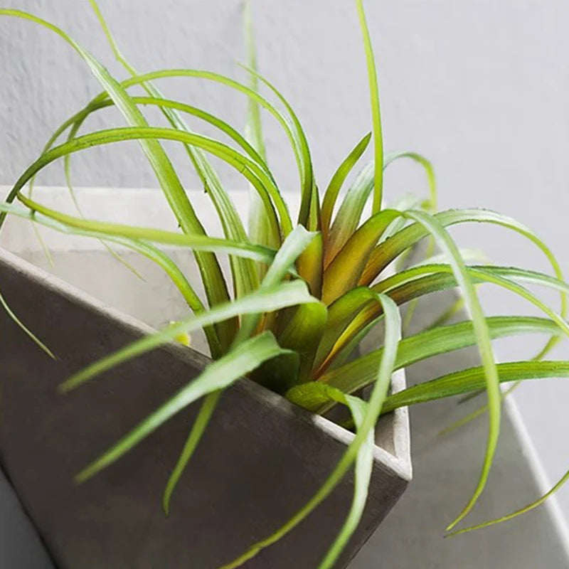 Wall-Mounted Ikebana Stem Vase